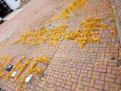海峰流量計的主要特點都有哪些？